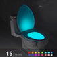 Multi-Color LED Motion Sensor Toilet Bowl Bathroom Light